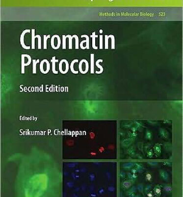 خرید و دانلود نسخه کامل کتاب Chromatin Protocols: Second Edition