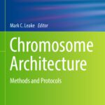 خرید و دانلود نسخه کامل کتاب Chromosome Architecture: Methods and Protocols