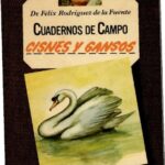 خرید و دانلود نسخه کامل کتاب Cisnes y gansos