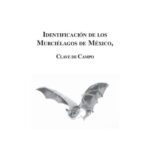 خرید و دانلود نسخه کامل کتاب Clave de Murciélagos Mexicanos, clave de campo