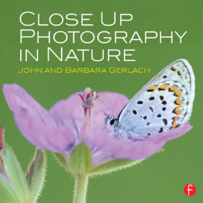 خرید و دانلود نسخه کامل کتاب Close Up Photography in Nature