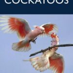 خرید و دانلود نسخه کامل کتاب Cockatoos