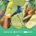 خرید و دانلود نسخه کامل کتاب Colibríes de Cundinamarca
