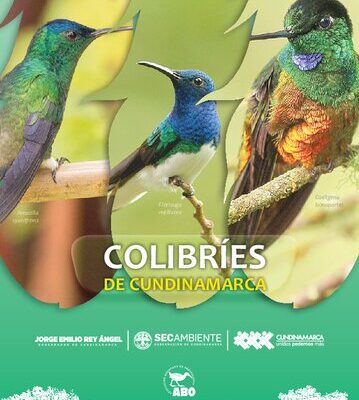 خرید و دانلود نسخه کامل کتاب Colibríes de Cundinamarca