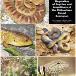 خرید و دانلود نسخه کامل کتاب Collection, trade, and regulation of reptiles and amphibians of the chihuahuan desert ecoregion
