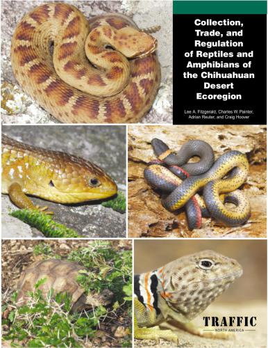 خرید و دانلود نسخه کامل کتاب Collection, trade, and regulation of reptiles and amphibians of the chihuahuan desert ecoregion_68e7bf1739910.jpeg خرید و دانلود نسخه کامل کتاب Collection, trade, and regulation of reptiles and amphibians of the chihuahuan desert ecoregion