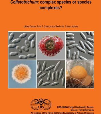 خرید و دانلود نسخه کامل کتاب Colletotrichum: complex species or species complexes?