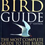 خرید و دانلود نسخه کامل کتاب Collins Bird Guide