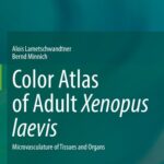 خرید و دانلود نسخه کامل کتاب Color Atlas of Adult Xenopus laevis: Microvasculature of Tissues and Organs