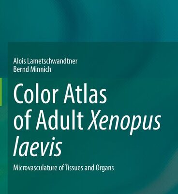 خرید و دانلود نسخه کامل کتاب Color Atlas of Adult Xenopus laevis: Microvasculature of Tissues and Organs