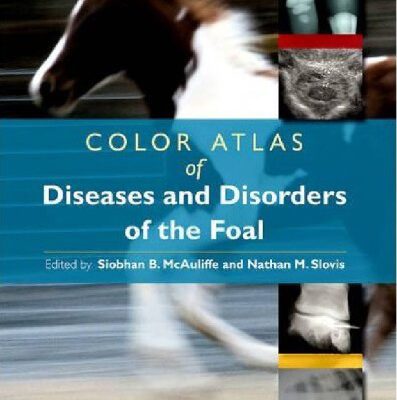 خرید و دانلود نسخه کامل کتاب Color Atlas of Diseases and Disorders of the Foal, 1e