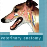 خرید و دانلود نسخه کامل کتاب Color atlas of veterinary anatomy. Volum 3: The Dog And Cat