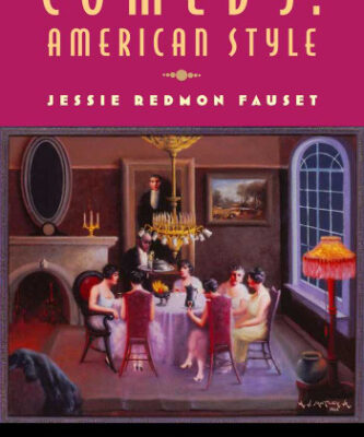 خرید و دانلود نسخه کامل کتاب Comedy: American Style (Multi-Ethnic Literatures of the Americas ()