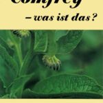 خرید و دانلود نسخه کامل کتاب Comfrey – was ist das?