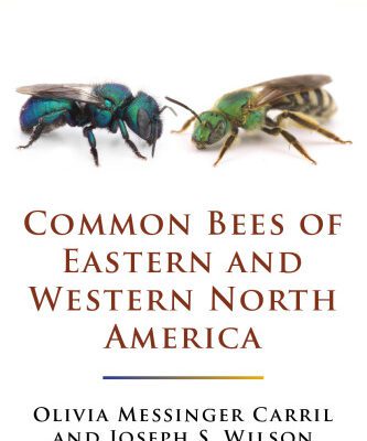 خرید و دانلود نسخه کامل کتاب Common bees of Eastern and Western North America (2-volume set)