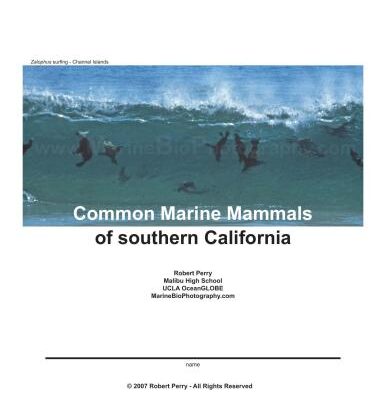 خرید و دانلود نسخه کامل کتاب Common Marine Mammals of southern California