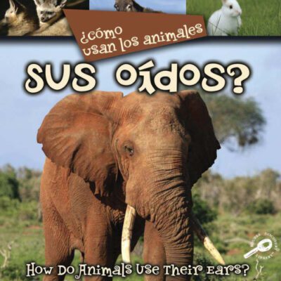 خرید و دانلود نسخه کامل کتاب Como Usan Los Animales Sus Oidos?  How Do Animals Use Their Ears?