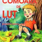 خرید و دانلود نسخه کامل کتاب Comoara de lut – Povestiri pentru copii