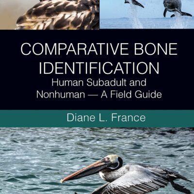خرید و دانلود نسخه کامل کتاب Comparative Bone Identification: Human Subadult and Nonhuman ― A Field Guide