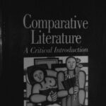 خرید و دانلود نسخه کامل کتاب Comparative Literature: A Critical Introduction