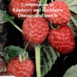 خرید و دانلود نسخه کامل کتاب Compendium of Raspberry and Blackberry Diseases and Insects