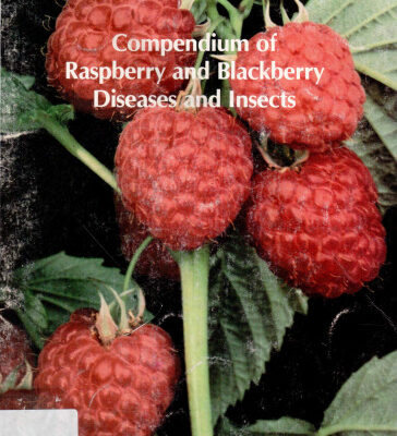خرید و دانلود نسخه کامل کتاب Compendium of Raspberry and Blackberry Diseases and Insects