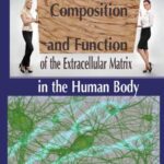 خرید و دانلود نسخه کامل کتاب Composition and Function of the Extracellular Matrix in the Human Body