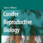 خرید و دانلود نسخه کامل کتاب Conifer Reproductive Biology