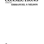 خرید و دانلود نسخه کامل کتاب Connections: Essays on Black Literatures