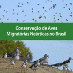 خرید و دانلود نسخه کامل کتاب Conservação de Aves Migratórias Neárticas no Brasil