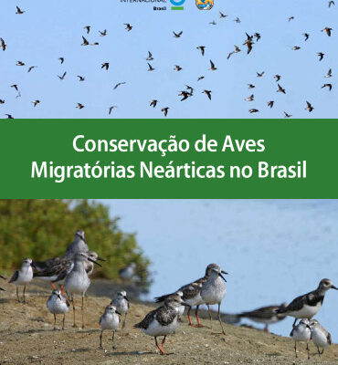خرید و دانلود نسخه کامل کتاب Conservação de Aves Migratórias Neárticas no Brasil