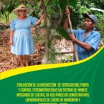 خرید و دانلود نسخه کامل کتاب control fitosanitario bajo un sistema de manejo de cultivo, en dos parcelas demostrativas experimentales de cacao en Morropón y Huancabamba – Piura