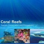 خرید و دانلود نسخه کامل کتاب Coral Reefs: Tourism, Conservation and Management