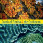 خرید و دانلود نسخه کامل کتاب Corals of Florida and the Caribbean