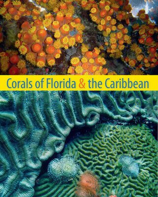 خرید و دانلود نسخه کامل کتاب Corals of Florida and the Caribbean