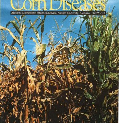 خرید و دانلود نسخه کامل کتاب Corn Diseases In Alabama