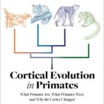 خرید و دانلود نسخه کامل کتاب Cortical Evolution in PrimatesCortical Evolution in Primates : What Primates Are, What Primates Were, and Why the Cortex Changed