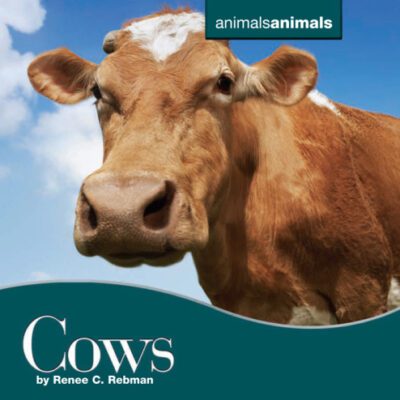 خرید و دانلود نسخه کامل کتاب Cows (Animals Animals)