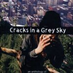 خرید و دانلود نسخه کامل کتاب Cracks in a Grey Sky: An Anthology of Do Or Die: Voices from the Ecological Resistance