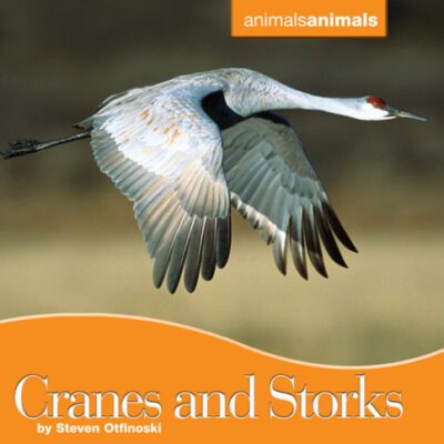 خرید و دانلود نسخه کامل کتاب Cranes and Storks (Animals Animals)