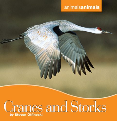 خرید و دانلود نسخه کامل کتاب Cranes and Storks (Animals Animals)_68e772336f2bb.jpeg خرید و دانلود نسخه کامل کتاب Cranes and Storks (Animals Animals)