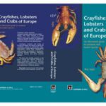 خرید و دانلود نسخه کامل کتاب Crayfishes, Lobsters and Crabs of Europe: An Illustrated Guide to Common and Traded Species