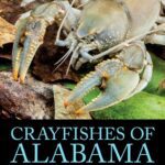 خرید و دانلود نسخه کامل کتاب Crayfishes of Alabama
