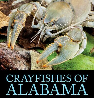 خرید و دانلود نسخه کامل کتاب Crayfishes of Alabama