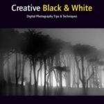 خرید و دانلود نسخه کامل کتاب Creative Black and White: Digital Photography Tips and Techniques