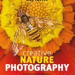 خرید و دانلود نسخه کامل کتاب Creative Nature Photography: Essential Tips and Techniques