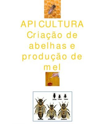 خرید و دانلود نسخه کامل کتاب Criação de Abelhas e Produção de Mel