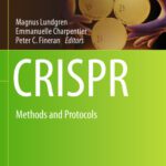 خرید و دانلود نسخه کامل کتاب CRISPR: Methods and Protocols