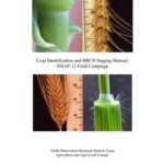 خرید و دانلود نسخه کامل کتاب Crop Identification and BBCH Staging Manual: SMAP-12 Field Campaign