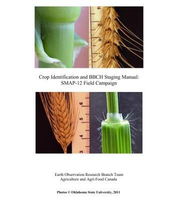 خرید و دانلود نسخه کامل کتاب Crop Identification and BBCH Staging Manual: SMAP-12 Field Campaign